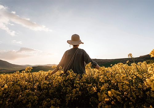 Woman walking in blooming yellow field at sunrise